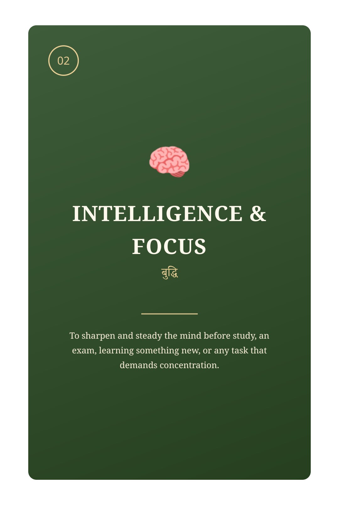 Intelligence and Focus section opening page